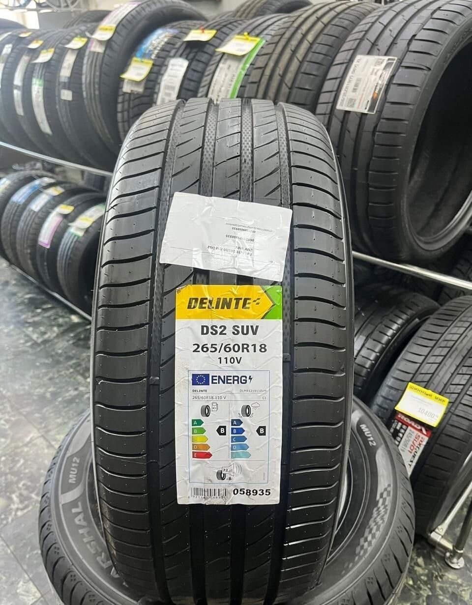 Delinte DS2 SUV 265/60 R18 110V